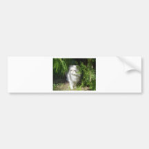 Kitty in the grass bumper sticker