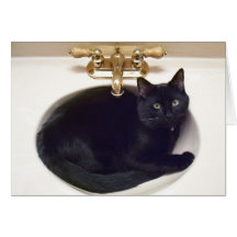 Kitty in the Sink Greeting Cards