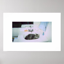 kitty in the sink poster