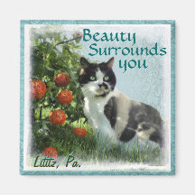 Kitty Inspirations Magnet