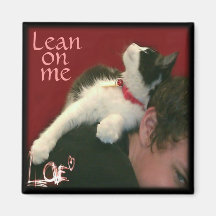 Kitty Inspirations Magnet