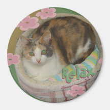 Kitty Inspirations Magnet calico relax
