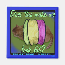 Kitty Inspirations Magnet, Look Fat?