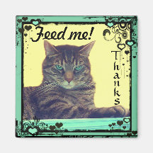 Kitty Inspirations Magnet tabby feed me!