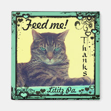 Kitty Inspirations Magnet tabby feed me!  Lititz