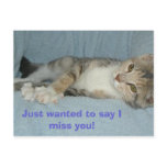 kitty, Just wanted to say I miss you! Postcard