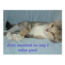 kitty, Just wanted to say I miss you! Postcard