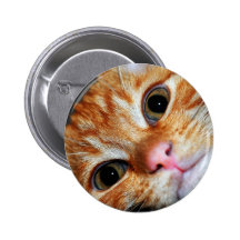 Kitty Kat Pin