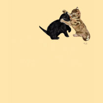 Kitty Kats t-shirts