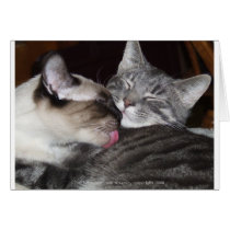 Kitty Love Greeting Card