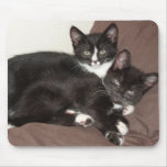 Kitty Love Mouse Pads