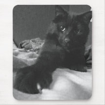 Kitty Paws MP Mouse Pads