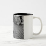 Kitty Paws Mug