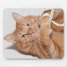 Kitty plays mouse mat