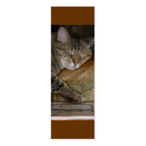 Kitty Sleep Bookmark Business Card Template
