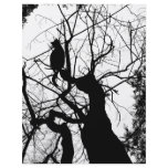 KITTY TREE SILHOUETTE B&W CUSTOM FLYER