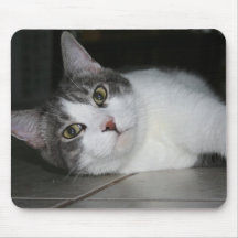 Kittycat Mouse Pad