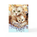 Kitty's Mother's Day Card