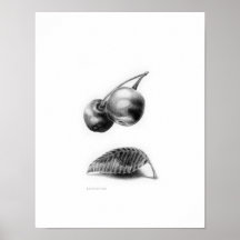 KIW Sparks: Levitation Poster