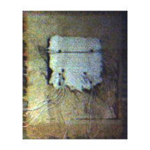 KIW Sparks: Naturally Canvas Prints