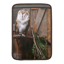 KIW Sparks: Owls Rickshaw Sleeve MacBook Sleeve