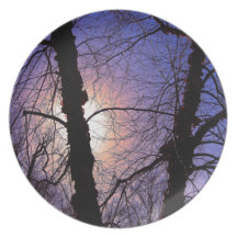 KIW Sparks: Wintry Branches Plate