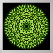 Kiwi Kaleidoscope Poster