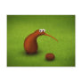 Kiwi Kiwi Post Card