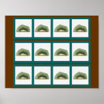 Kiwi Sampler Posters
