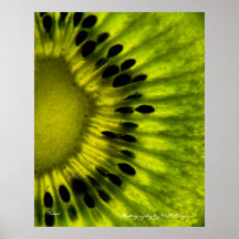 Kiwi Wall Art Print