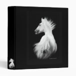 Kladruber Stallion Binder