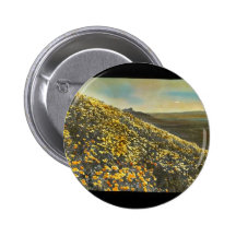 Klamath Marsh Button