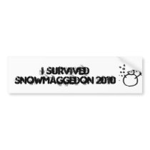 klec2003-c168, I Survived Snowmaggedon 2010 Bumper Sticker