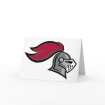 Knight's Helmet