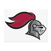 Knight's Helmet
