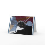 KNITTING KITTY CARD