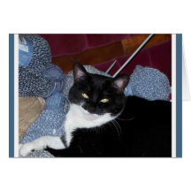 KNITTING KITTY CARD