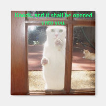 Knock, knock. fridge magnets