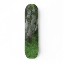 Knocknara Ireland Fences Fields Skate Deck