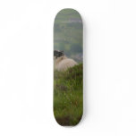 Knocknara Ireland Sheep Lambs skateboards
