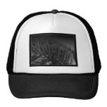 knoten mesh hats