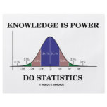Knowledge Is Power Do Statistics (Stats Humour) flyers