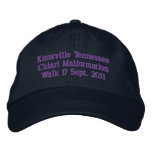 Knoxville Tennessee Embroidered Baseball Cap