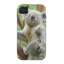 koala-35.jpg iPhone 4/4S cover