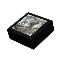 Koala 5" Gift Box