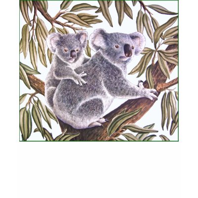 Koala and baby in Eucalyptus Tree T-shirts by joeyartist