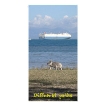 Koala and container ship - different paths photo cards