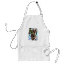 Koala Australia Aprons