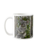 Koala Bear 2 Mug