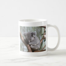 koala bear coffee mugs